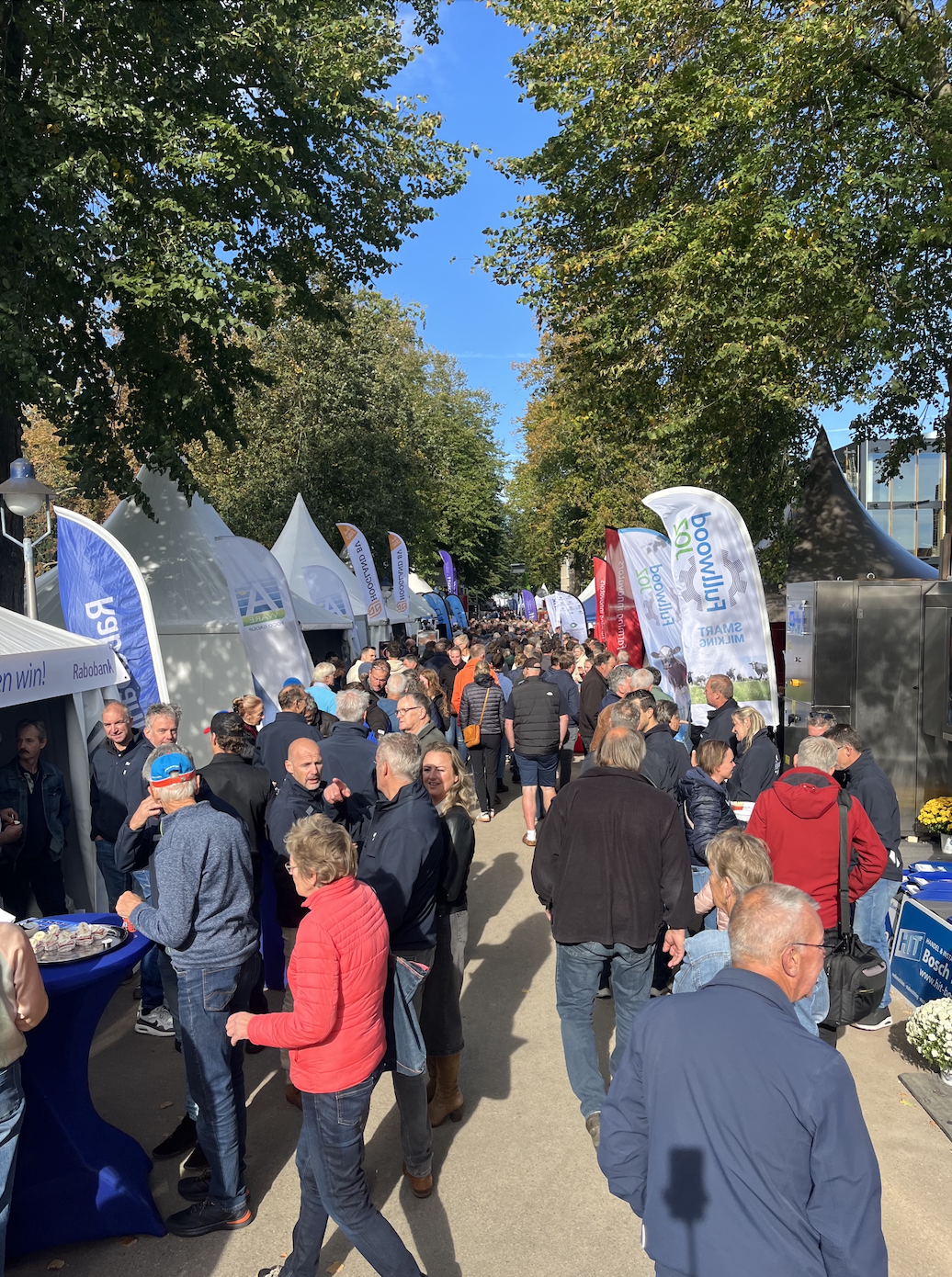 AS drukte